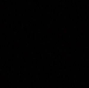 Meet your Posher, Mia